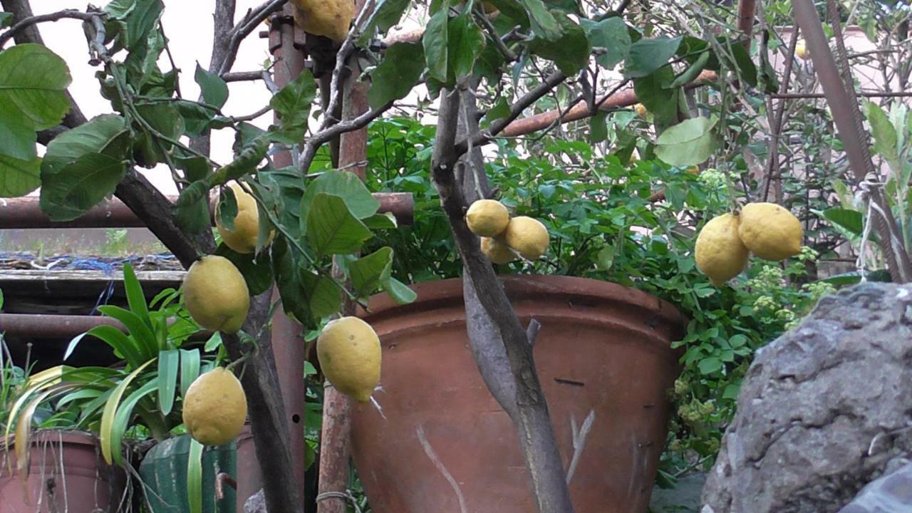 Il Golfo E I Limoni Appartement La Spezia Buitenkant foto